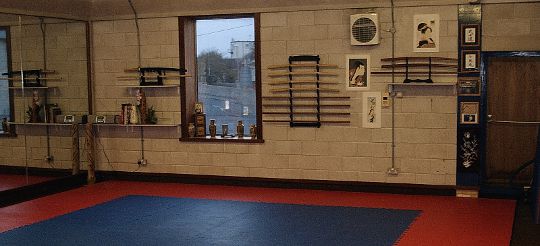 Shima Arashi Aikido Dojo